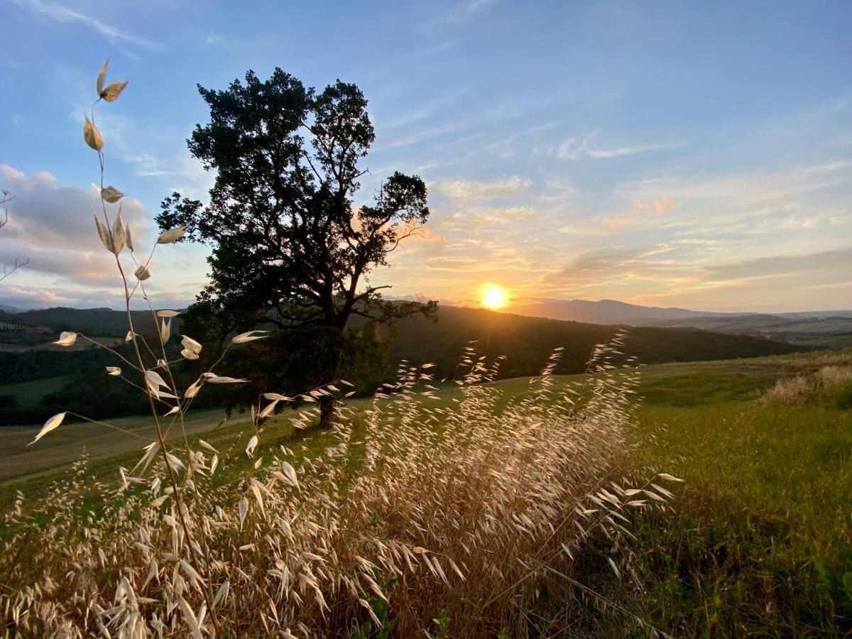 Agriturismo L'Antica Quercia بومارانسي المظهر الخارجي الصورة