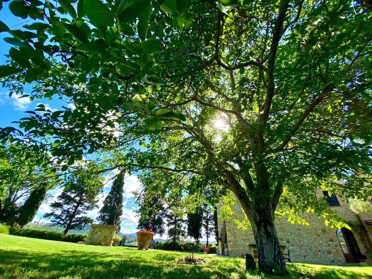 Agriturismo L'Antica Quercia بومارانسي المظهر الخارجي الصورة